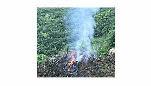 TÜKETİCİ FEDERASYONU SORDU: Dumanla mı haberleşeceğiz?