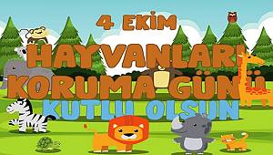 4 Ekim Hayvanları Koruma Günü!