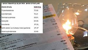 4 kişilik bir ailenin aylık elektrik faturası 163 TL'ye yükseldi: ELEKTRİK MÜHENDİSLERİ ODASI
