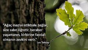 Ağaçların bu faydasını biliyor musunuz?