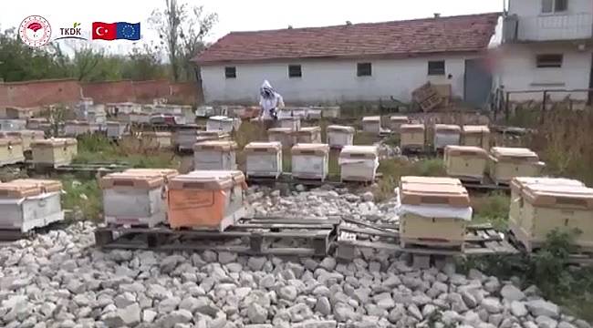 Bal&#039;da Türkiye Dünya Birincisi oldu!