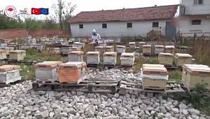 Bal'da Türkiye Dünya Birincisi oldu!