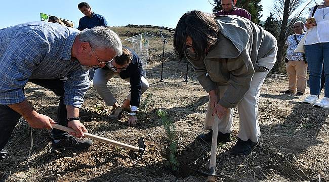 ÇANAKKALE&#039;DE: 10 Bin fidanlık orman kuracaklar