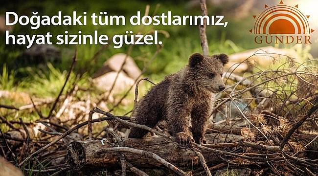 Doğadaki tüm dostlarımız: Hayat sizinle güzel