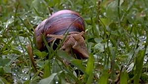 Doğayla baş başa: İSTANBUL'DA