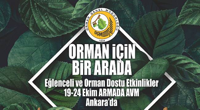 Eğlenceli ORMAN Dostu programı!