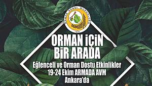 Eğlenceli ORMAN Dostu programı!