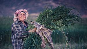 ENERJİ DÜNYASI: Bugün Dünya Çiftçi Kadınlar Günü