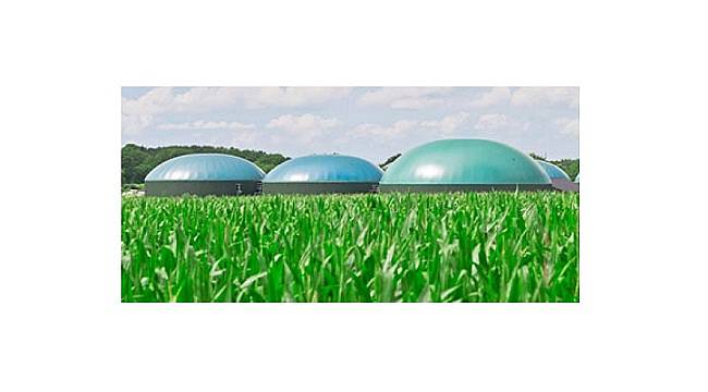 Benzin - motorine eklenen biyoetanol - biyodizel miktarları: YENİ