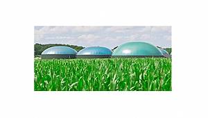 Benzin - motorine eklenen biyoetanol - biyodizel miktarları: YENİ