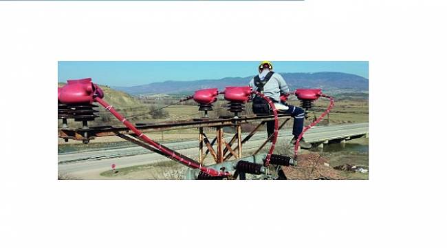 Kuşları elektrik çarpmayacak!