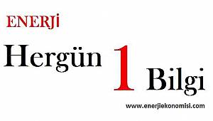 Türkiye'de fuel oille çalışan kaç elektrik santrali var?