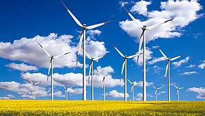 Asya kıtası rüzgar gücü kapasitesinin yarısına sahip: IRENA RAPORU