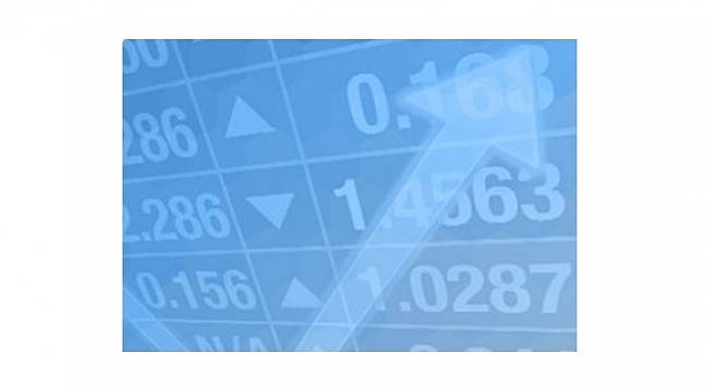 &#039;Döviz Kredileri&#039; uzaktan eğitim rehberi hazırladı: TÜRKİYE BANKALAR BİRLİĞİ