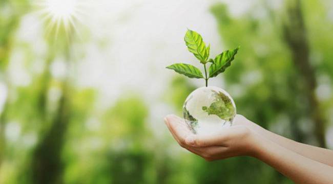 Energy news from Turkey