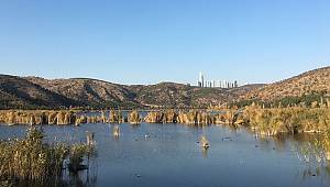 ODTÜ Eymir'de sonbahar (FOTO HABER)