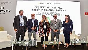 Şehirler için düşük karbon yetmez Artık 'SIFIR KARBON' zamanı!