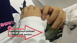 'Sevmek ve sevilmek' böyle bir şey...