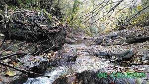 Son baharı birde böyle izleyelim (VİDEO)