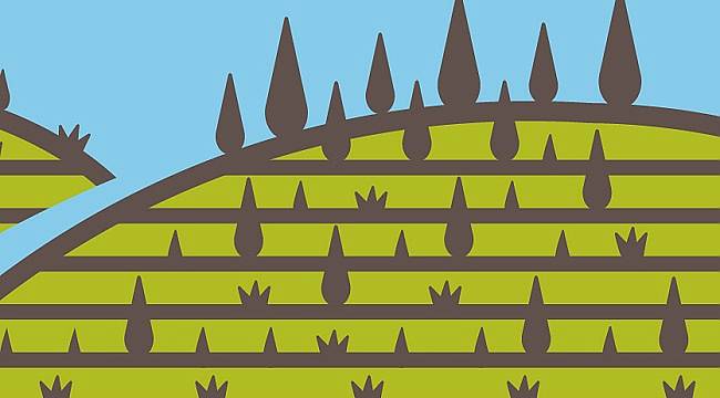 Suyu düştüğü - toprağı oluştuğu yerde tut!