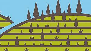 Suyu düştüğü - toprağı oluştuğu yerde tut!