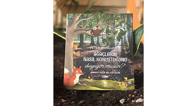 TEMA Vakfı: Ağaçlar geceleri uyur mu?