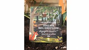 TEMA Vakfı: Ağaçlar geceleri uyur mu?