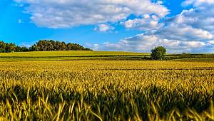 TEMA Vakfı: Toprakla ilgili merak ettiğiniz her şey burada