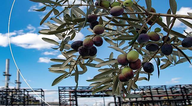 Tüpraş &#039;Sürdürülebilirlik Raporu’nu&#039; yayınladı!