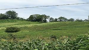 Yabancı elektrik abone sayısı yüzde 66 arttı: Trabzon, Rize, Giresun, Gümüşhane ve Artvin:'de