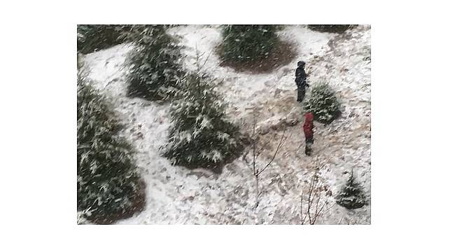 An itibariyle Ankara: Beyaz