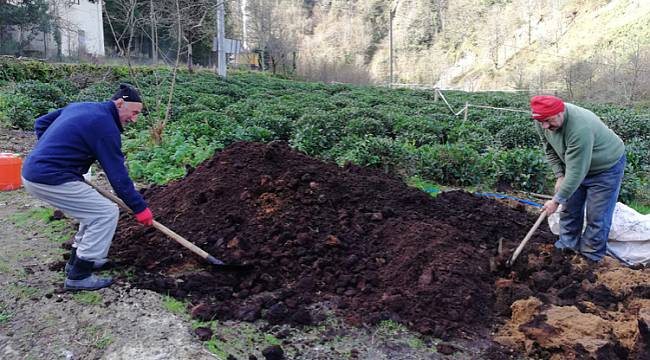 Çay atıkları toprağın gıdasıdır: TEMA VAKFI