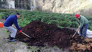 Çay atıkları toprağın gıdasıdır: TEMA VAKFI