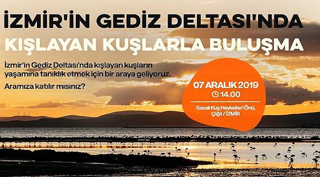 Doğa Derneği: Kışlayan kuşlarla buluşuyoruz