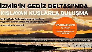 Doğa Derneği: Kışlayan kuşlarla buluşuyoruz