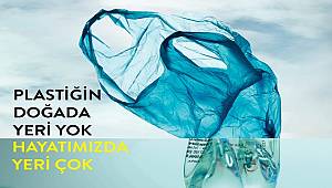 Geri dönüşümle Türkiye'ye 6 yılda 7 Belgrad Ormanı kazandırdı!