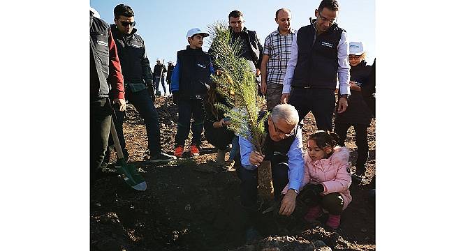 LİMAK ENERJİ: 4 şehirde 4 bin ağaçla kuracak