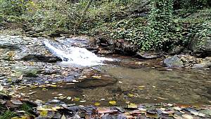 Sonbaharın son günleri (FOTO HABER)
