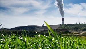 TEMA Vakfı: Sevinçle karşıladık