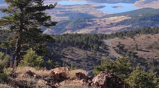 TEMA Vakfı: Yargı &#039;DUR&#039; dedi