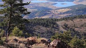 TEMA Vakfı: Yargı 'DUR' dedi