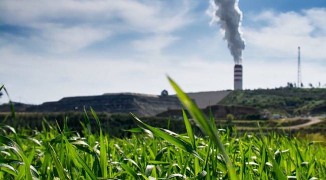 Veto to the thermal power plant law!