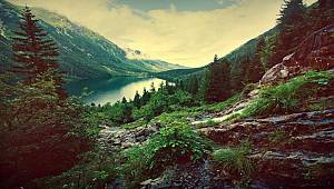 YARIN: 5 Haziran Dünya Çevre Günü