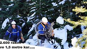 2600 RAKIM: 1,5 metre karda Başkent EDAŞ ekiplerinin zorlu mücadelesi