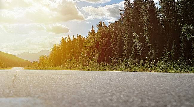 Karbon Saydamlık Projesi - CDP: Pirelli&#039;nin İklim Değişikliği ile mücadelede...