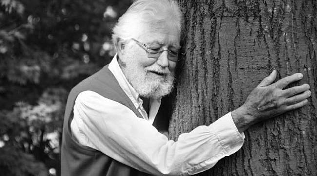 TEMA Vakfı: Derin üzüntüsü içindeyiz