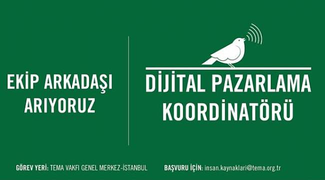 TEMA Vakfı: Pazarlama Koordinatörü arıyor