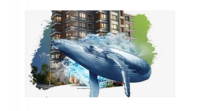 Watt cinsinden karşılığı 1.750 kw/h olup 20 hanelik...