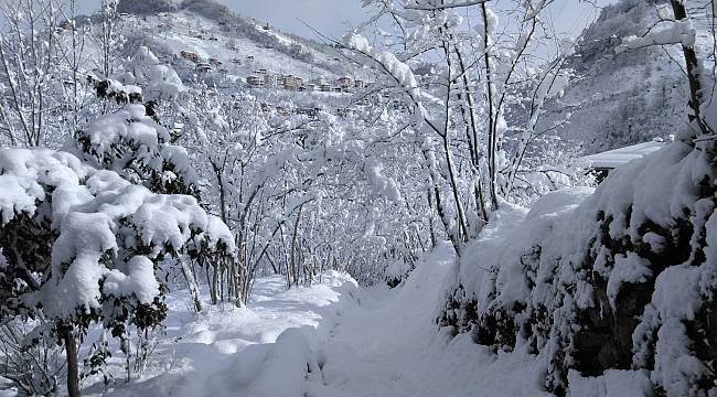 Kartpostallık görüntüler…