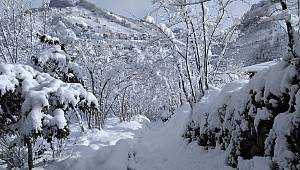 Kartpostallık görüntüler…